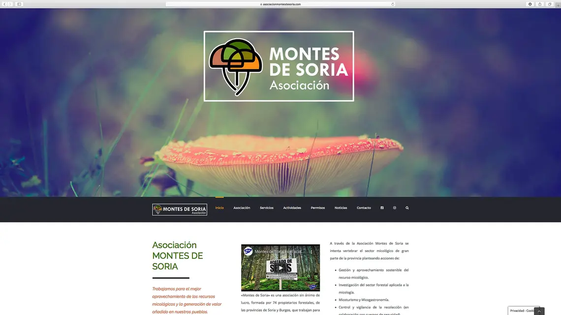nueva_web1