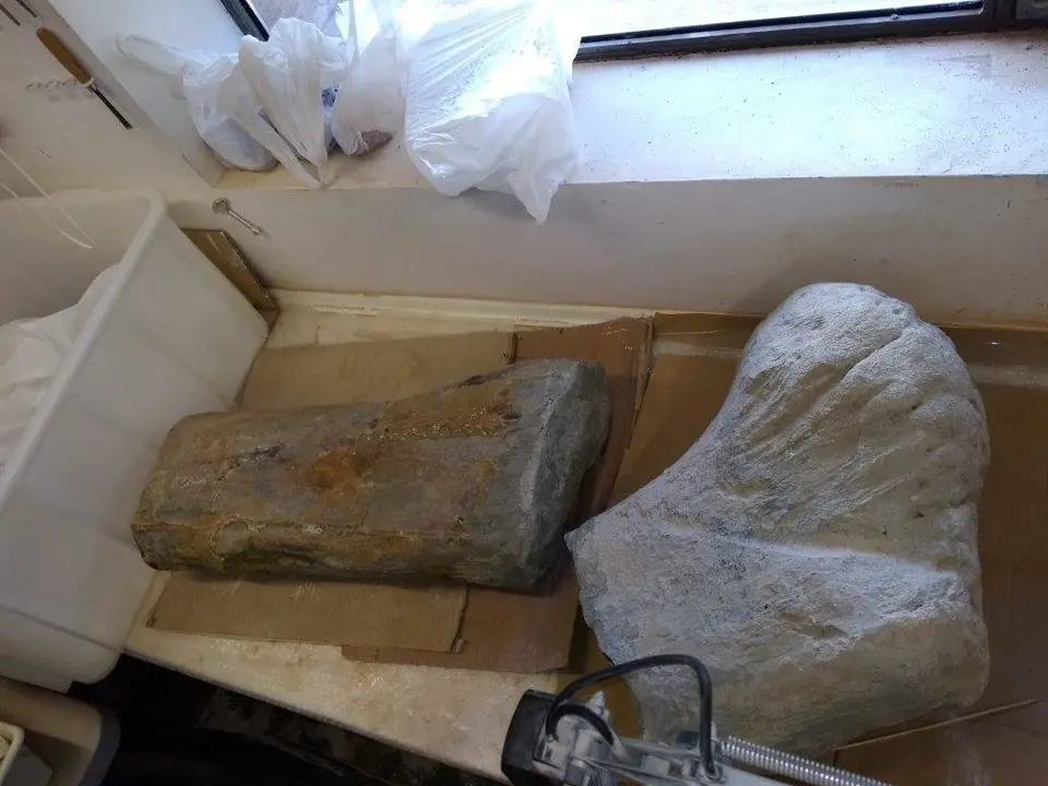 Fragmentos de fémur