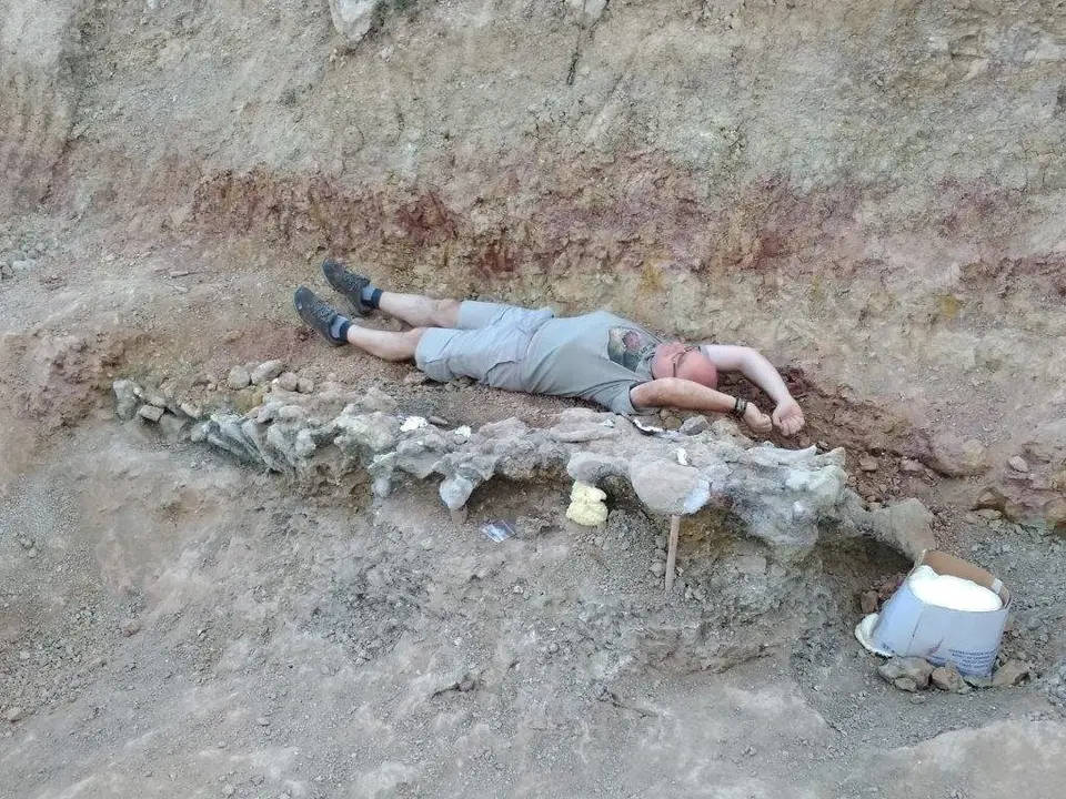 Parte de columna vertebral