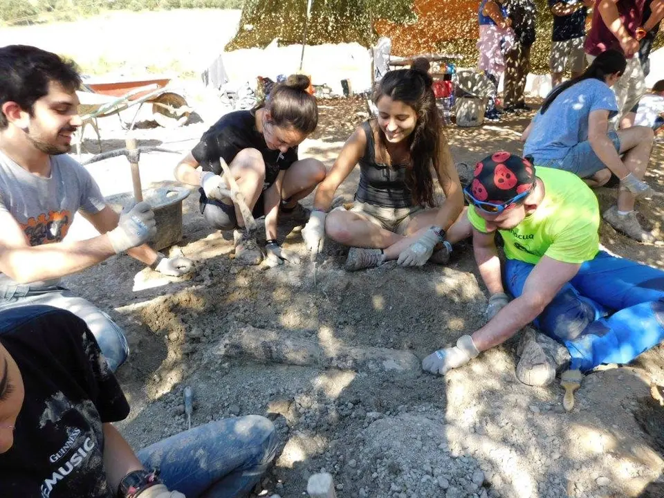 Por determinar copia