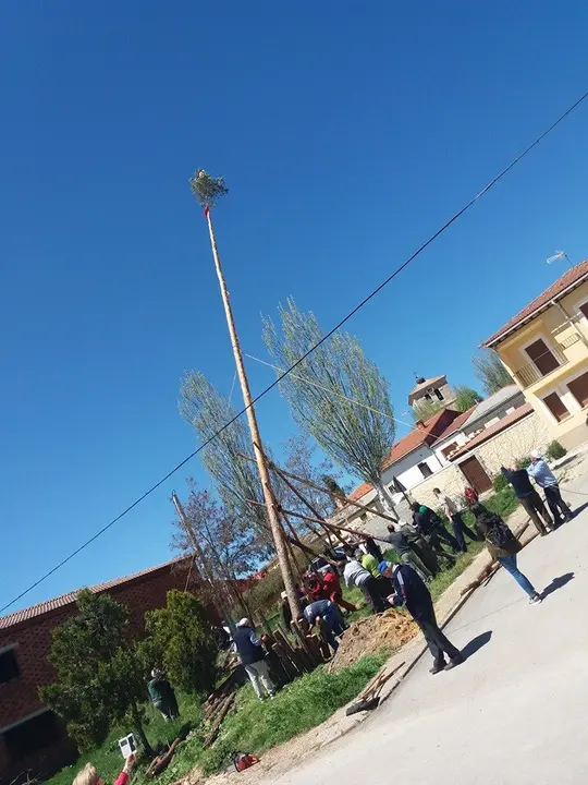 57350470_849023402104055_1011322381387431936_n