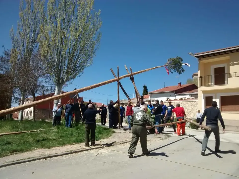 59407819_849023285437400_6685135876332191744_o