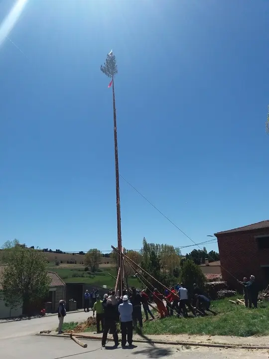 59782841_849023348770727_4717714385710088192_n