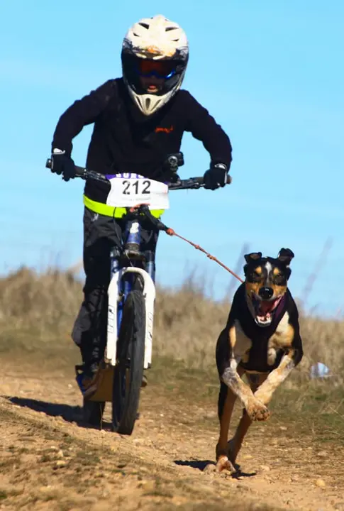 88336061_2968011176592521_8228133882789101568_n