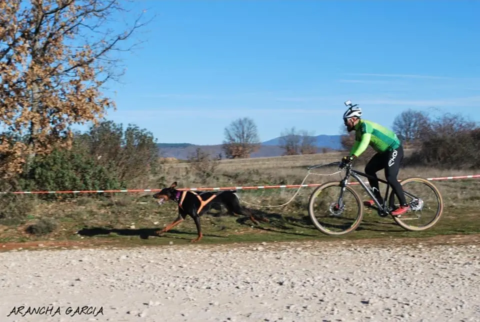 89120423_2968010836592555_4207490305512964096_n