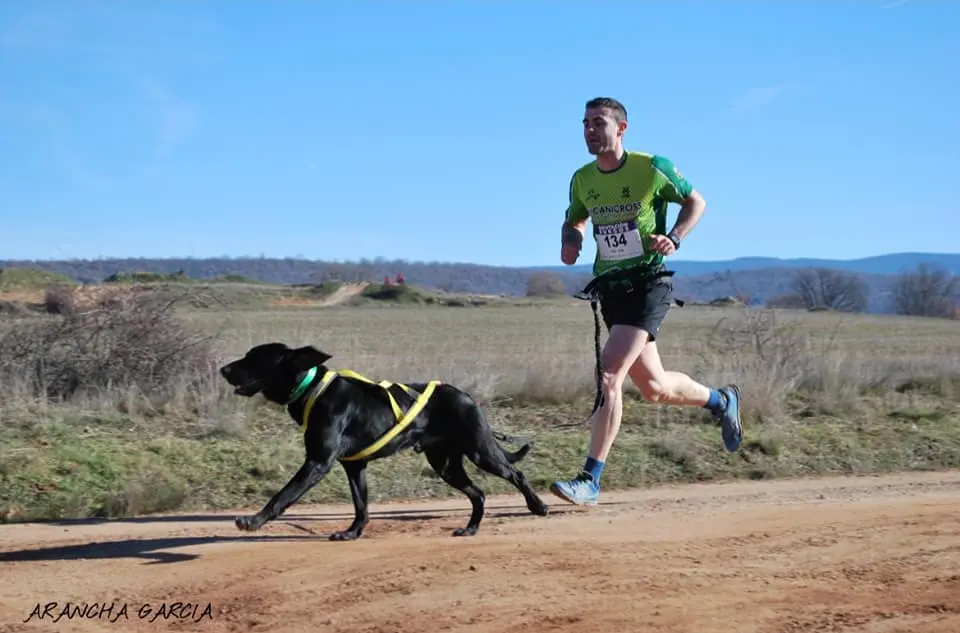 89161198_2968011659925806_2502678615905271808_n