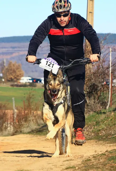 89256859_2968011736592465_1724184328574861312_n