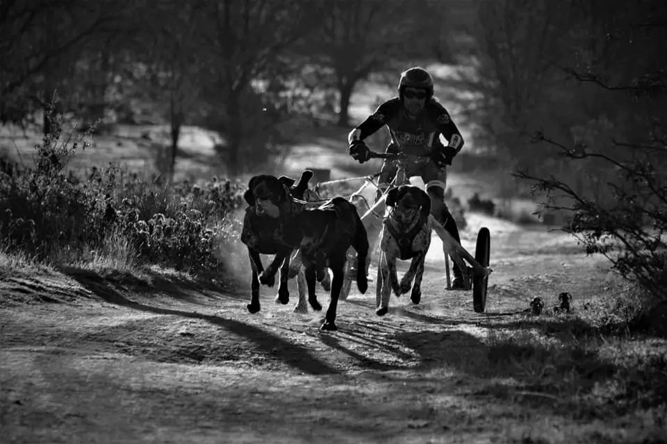 89289084_2968011933259112_2438025635679961088_n