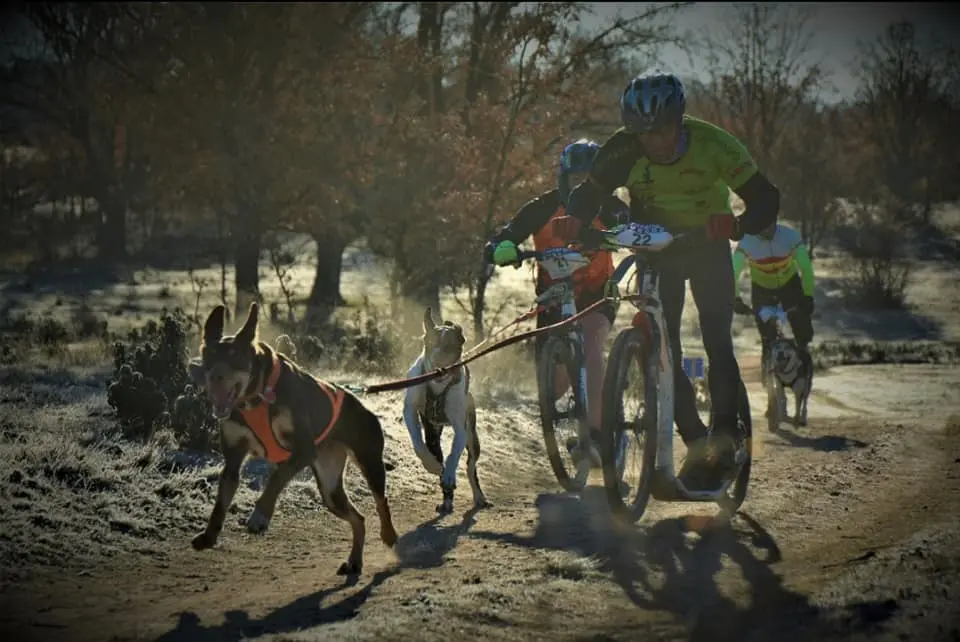 89466047_2968011266592512_6621606176083673088_n