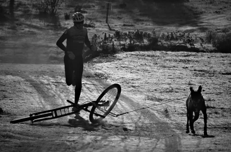 89497486_2968010589925913_2012726734100627456_n