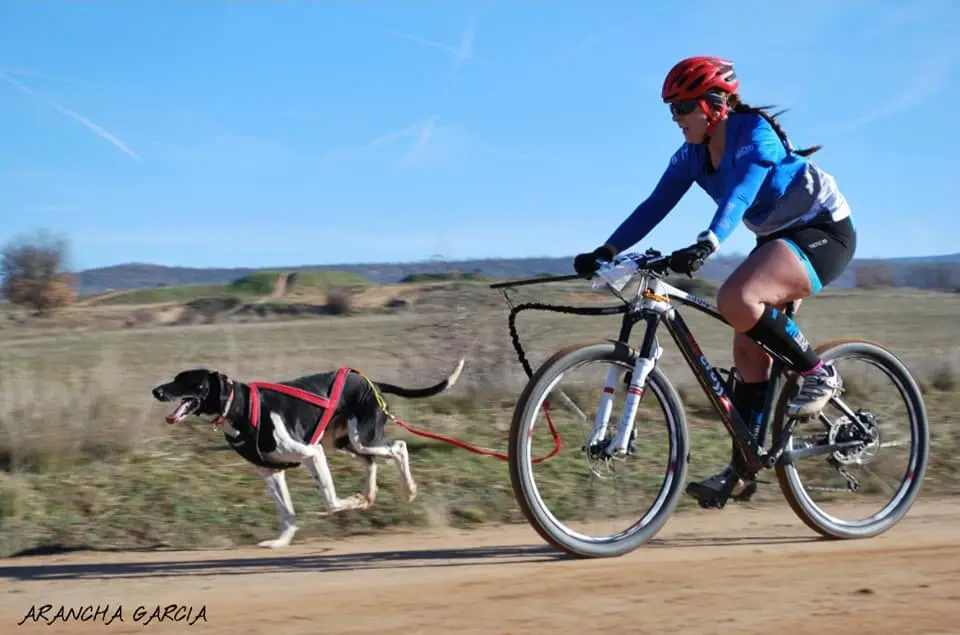 89519482_2968011373259168_745226806390423552_n