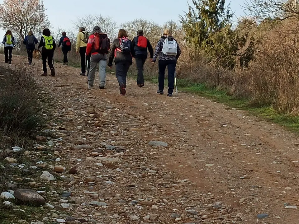 WhatsApp Image 2021-03-06 at 18.06.46 (1)