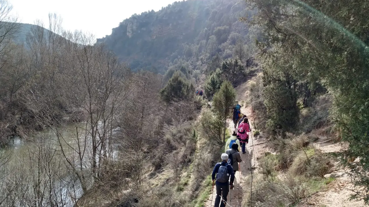 WhatsApp Image 2021-03-06 at 18.06.45 (2)