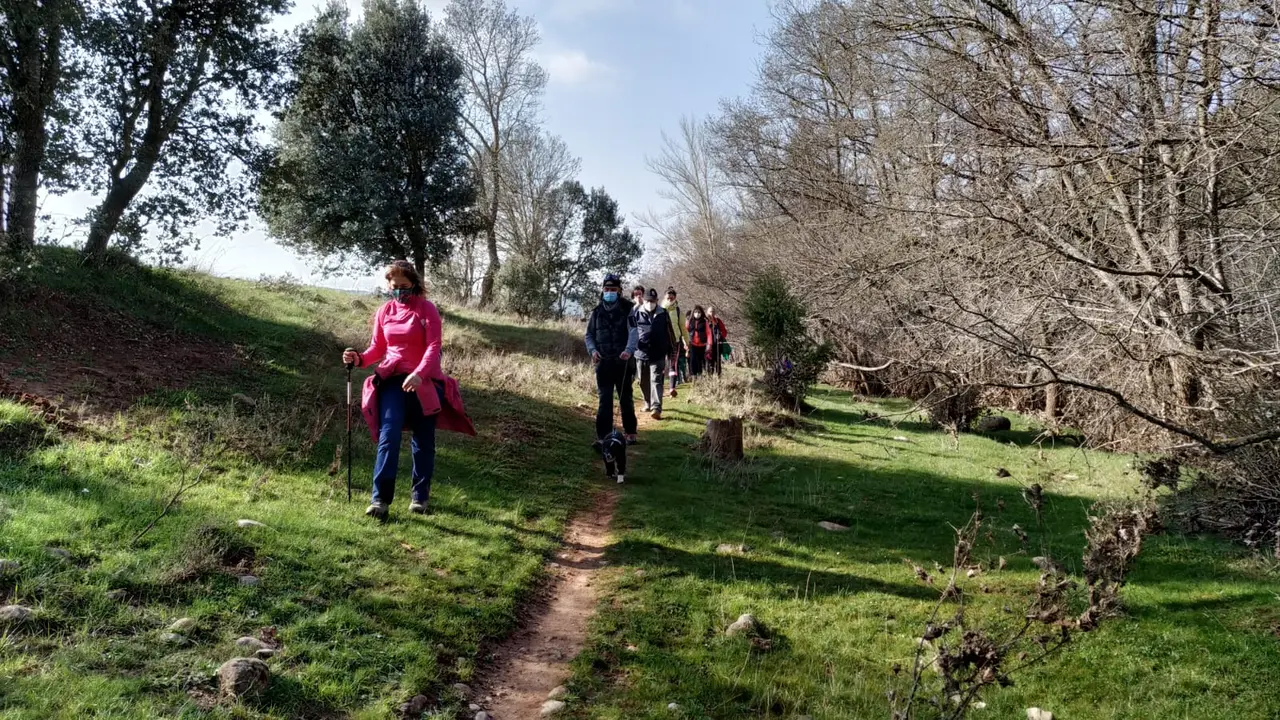 WhatsApp Image 2021-03-06 at 18.06.44