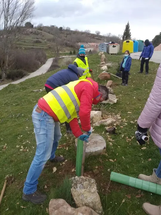 EN DETALLE PLANTANDO