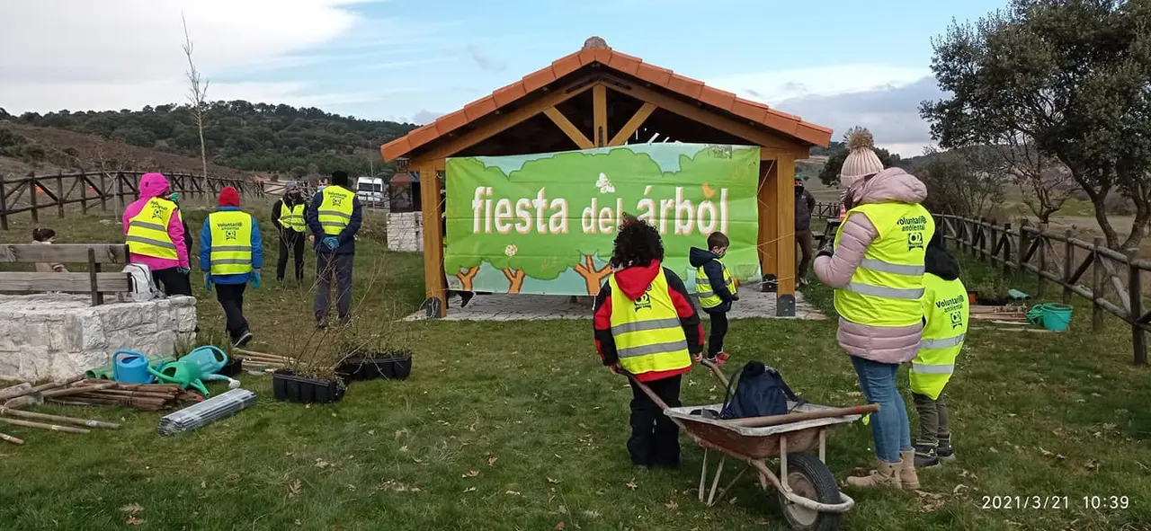 LA FIESTA DEL ARBOL