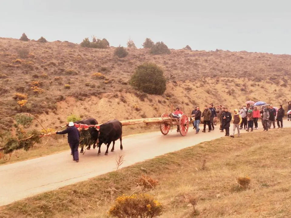 ANTIGUA TIRANDO DEL CARRO