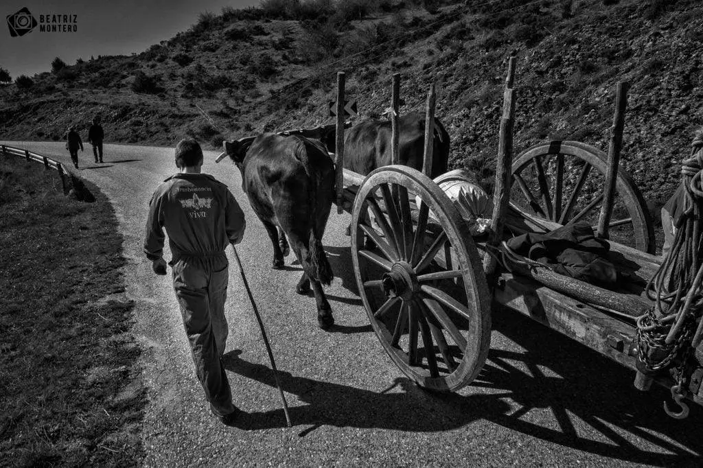 OTRA DE BEATRIZ MONTERO
