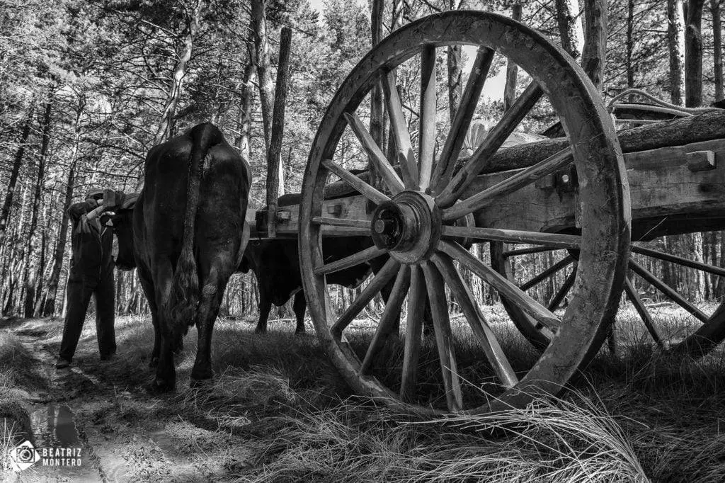 PRECIOSA DESDE ATRAS