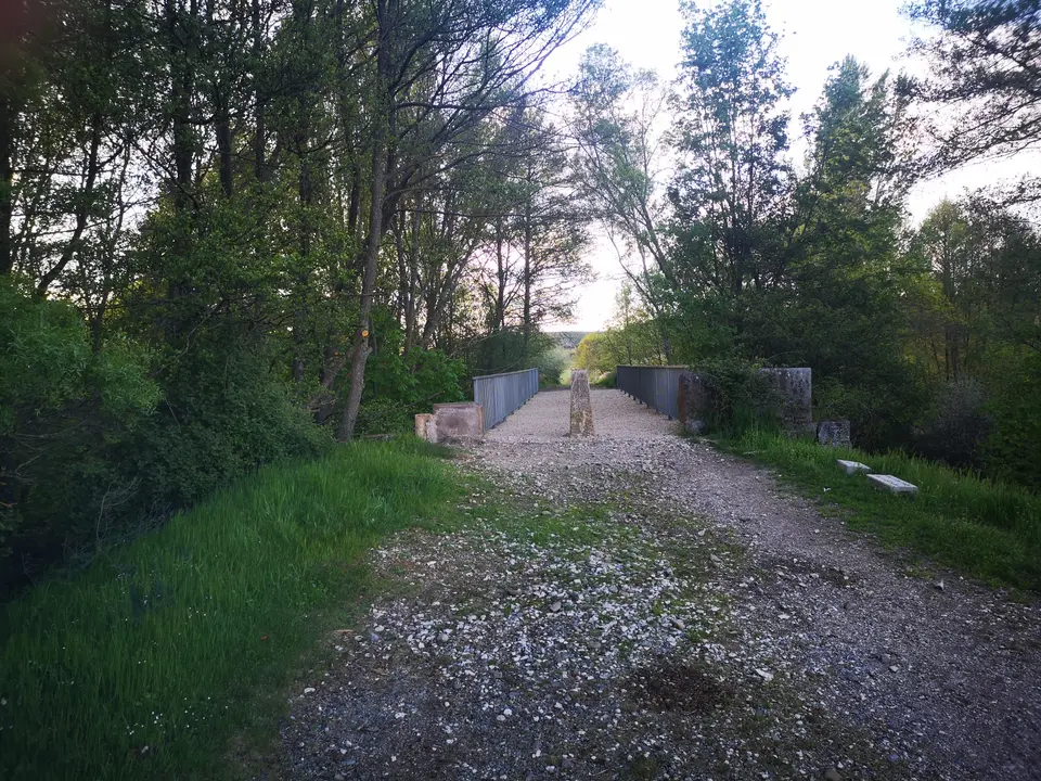 WhatsApp Image 2021-05-12 at 12.52.37