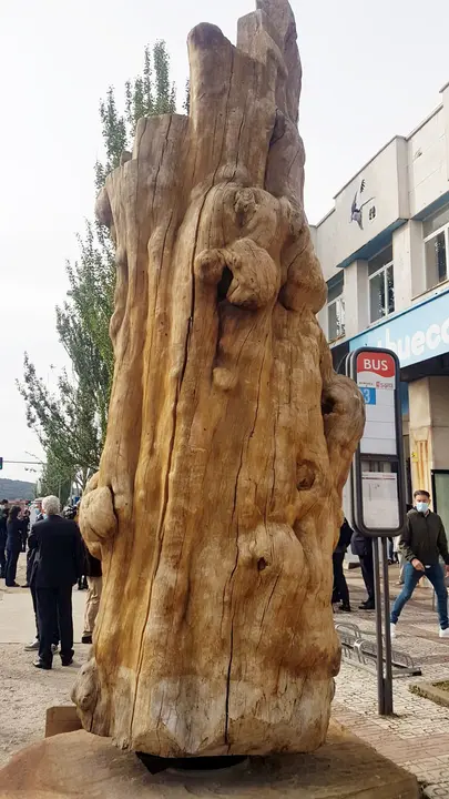 WhatsApp Image 2021-05-28 at 09.33.11