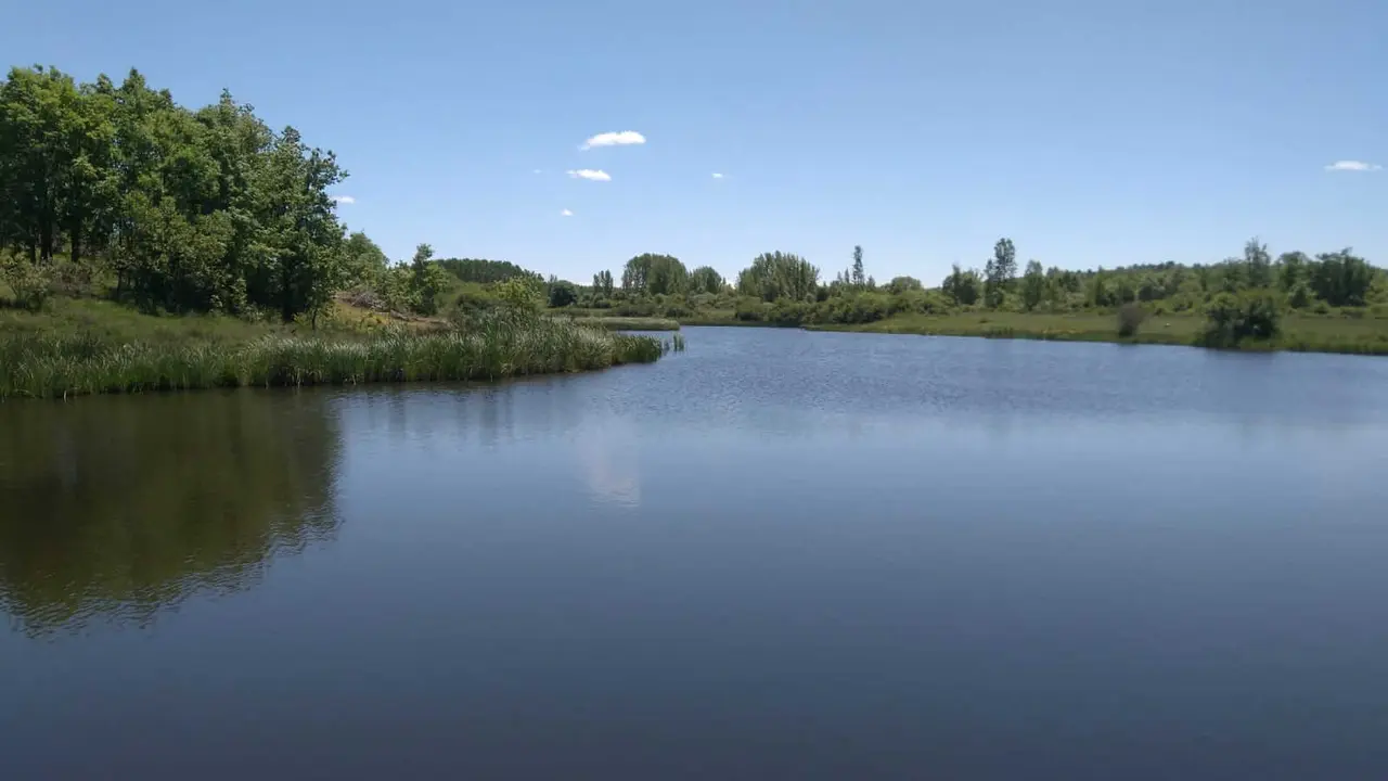 WhatsApp Image 2021-06-06 at 20.40.22 - copia