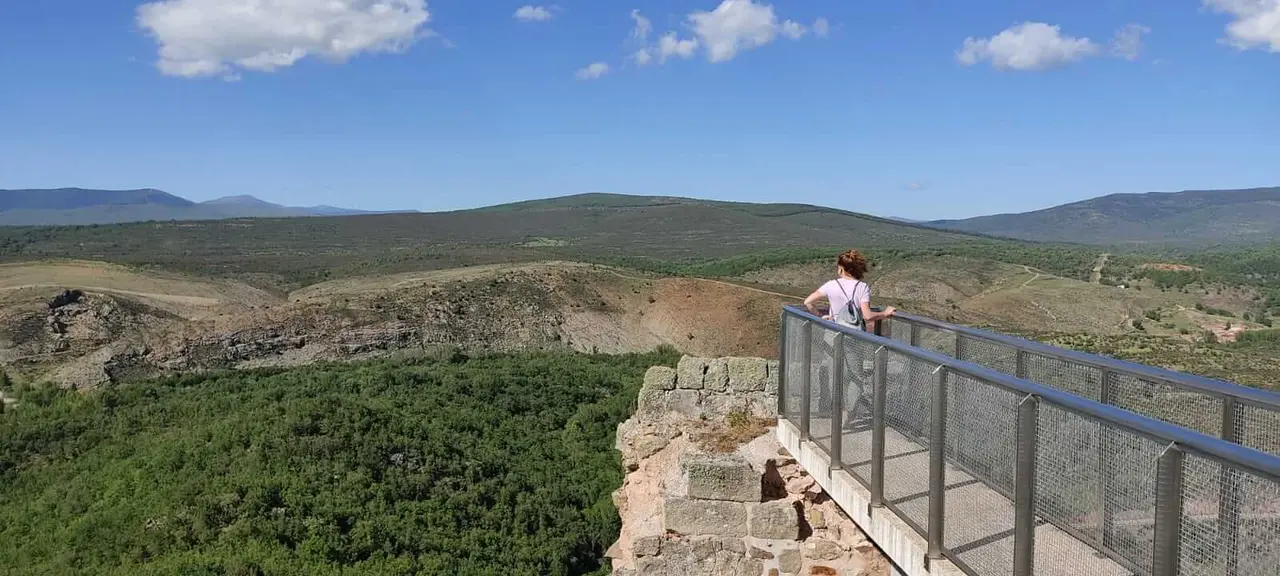 WhatsApp Image 2021-06-06 at 21.23.40