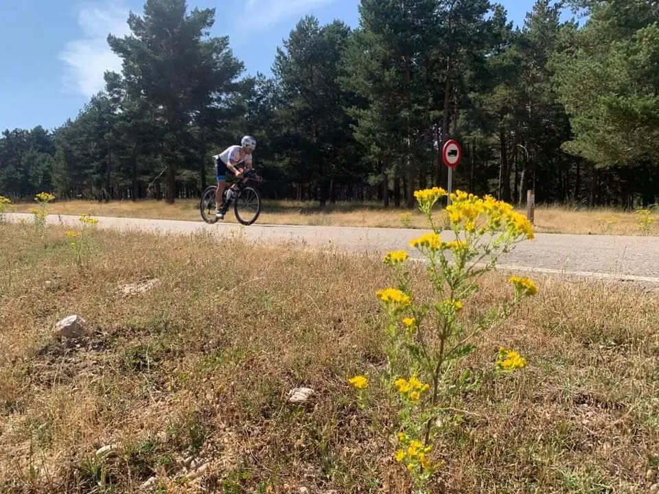 FB_IMG_1627166707244