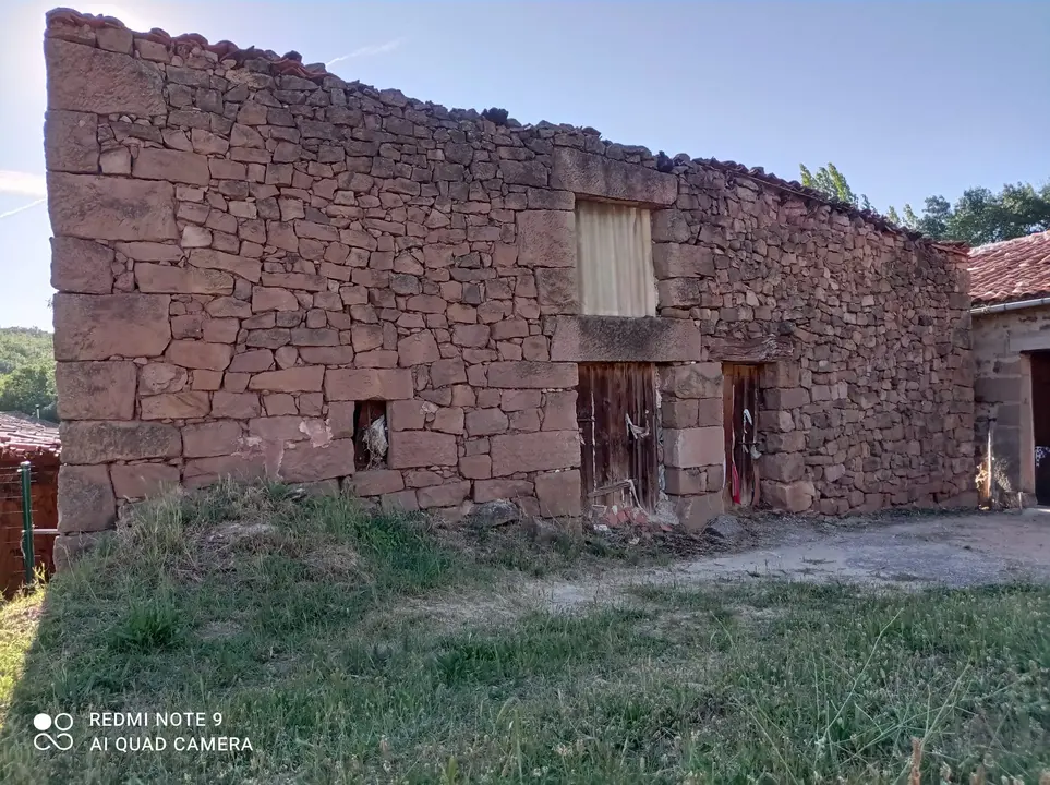 WhatsApp Image 2021-07-15 at 20.15.20