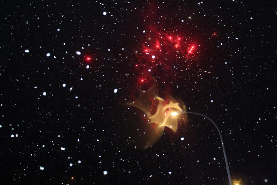 Cabalgata San Leonardo 11 (6)