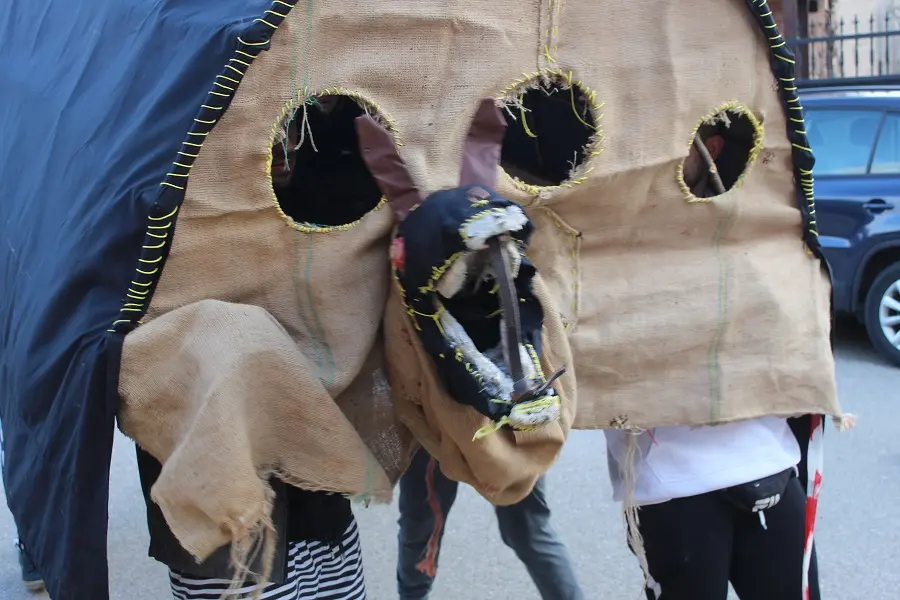 CARNAVAL DE HACINAS 2022 (11)