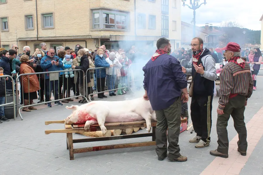 MATANZA DEL CERDO NAVALENO 2022 (16)
