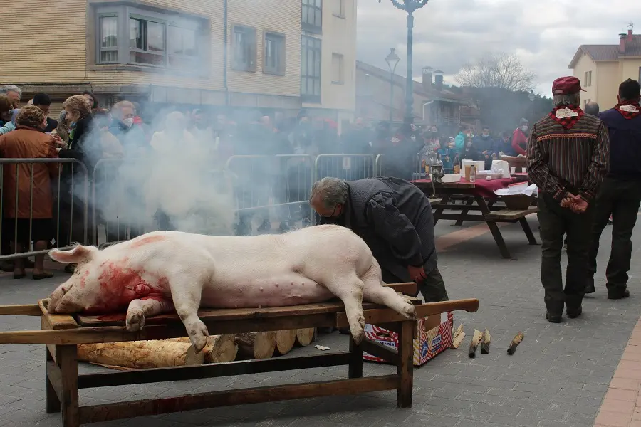 MATANZA DEL CERDO NAVALENO 2022 (17)