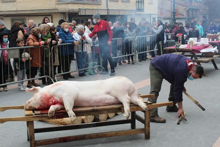 MATANZA DEL CERDO NAVALENO 2022 (18)