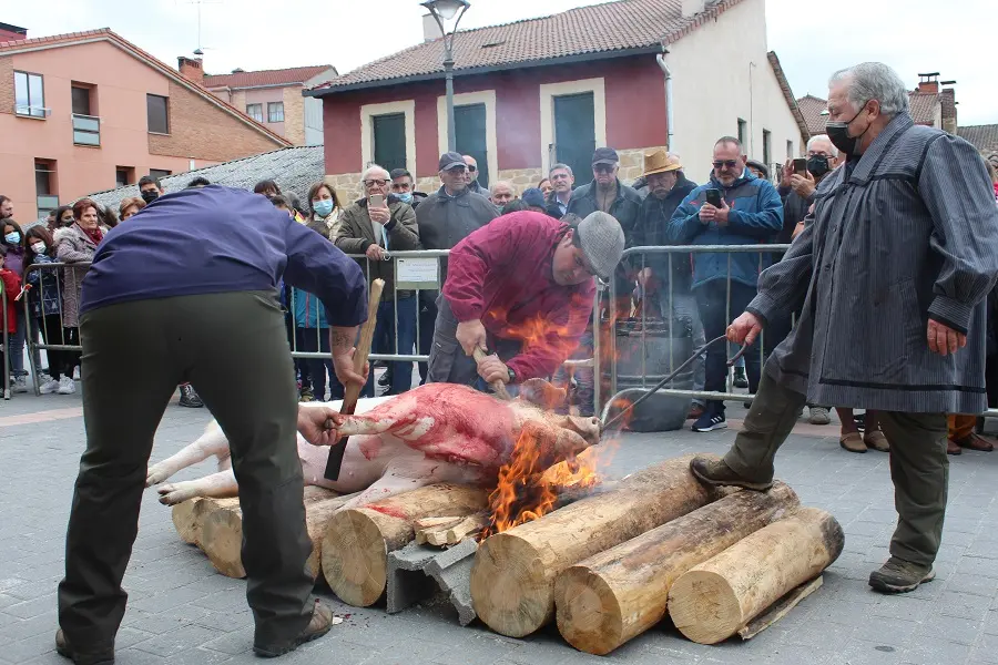 MATANZA DEL CERDO NAVALENO 2022 (19)