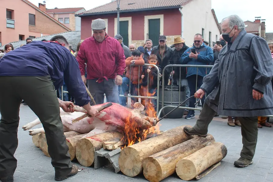MATANZA DEL CERDO NAVALENO 2022 (20)