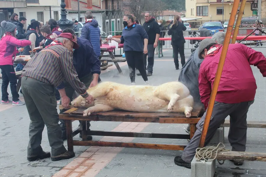 MATANZA DEL CERDO NAVALENO 2022 (31)