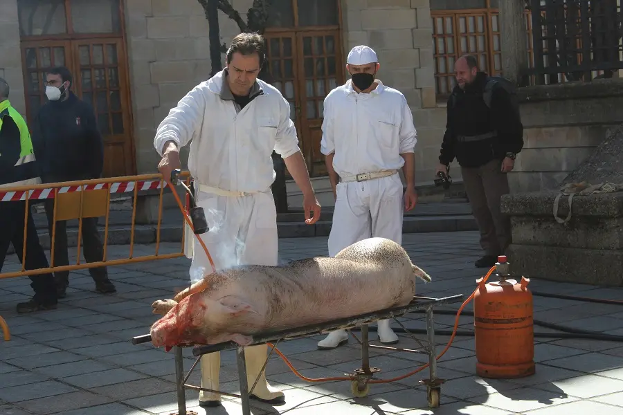 FERIA DEL CHORIZO DE  COVALEDA (3)