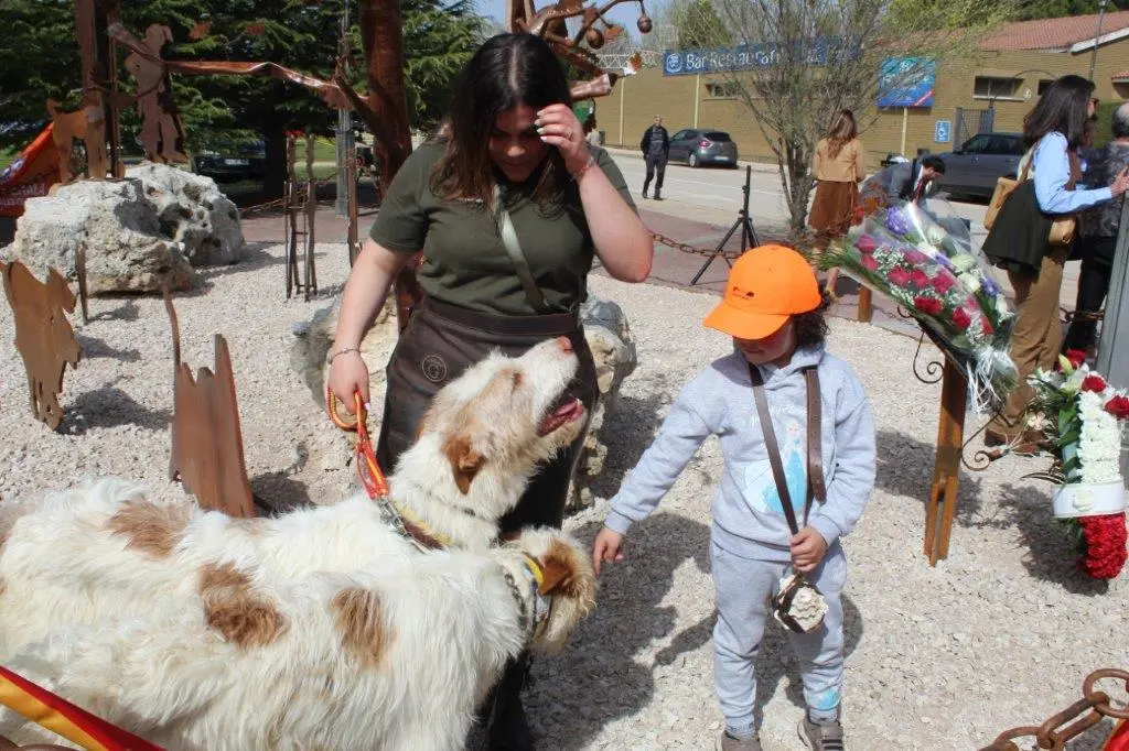 MONUMENTO AL REHALERO EN ALMAZ&Aacute;N (11)