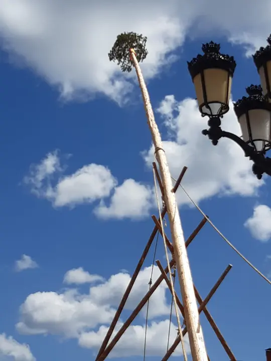 PINGADA NAVALENO (1)