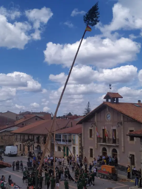 PINGADA NAVALENO (2)