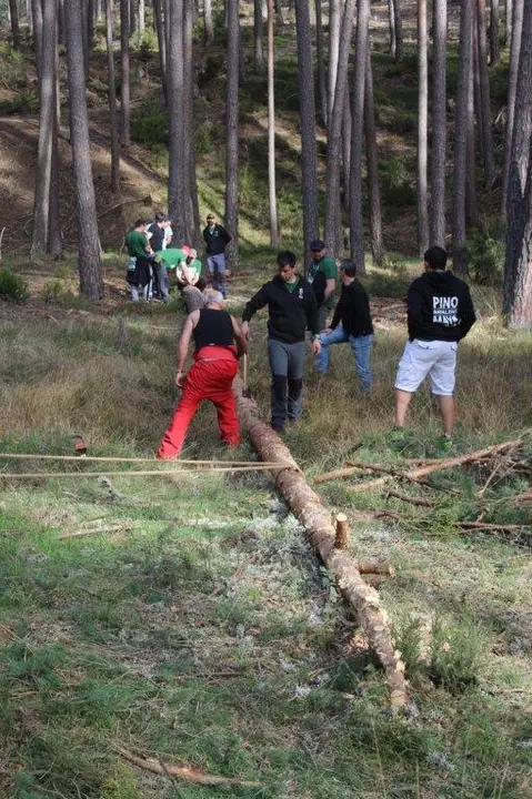 PINGADA NAVALENO (3)