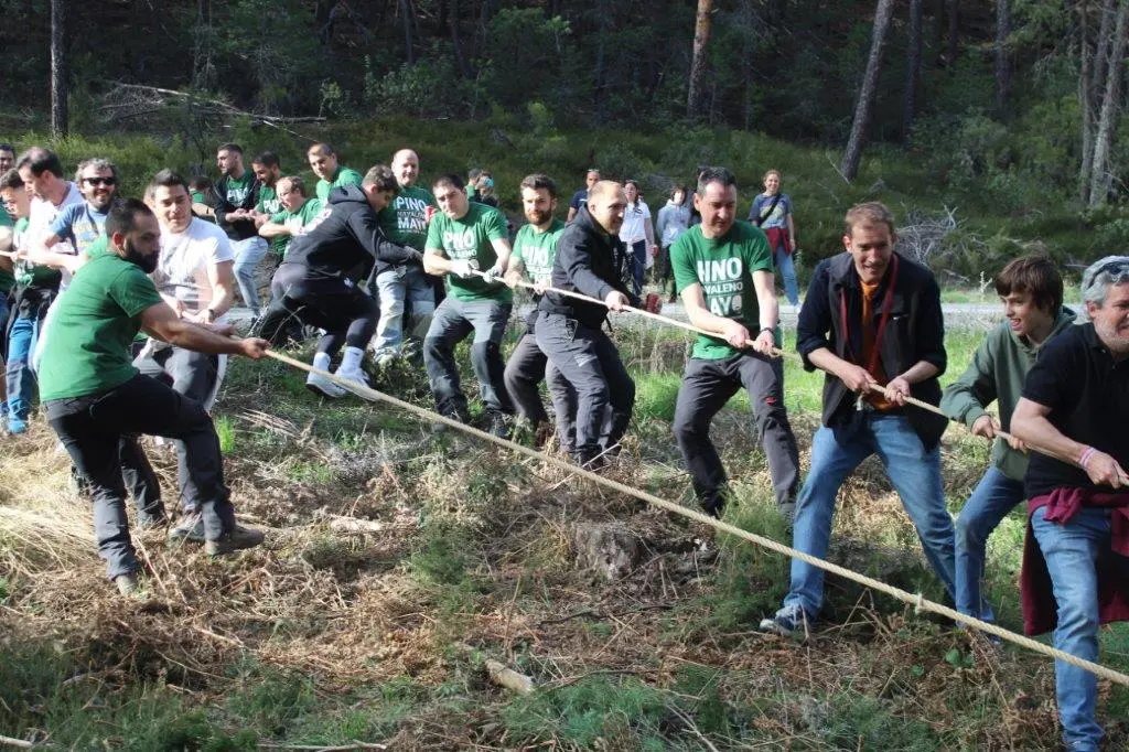 PINGADA NAVALENO (4)