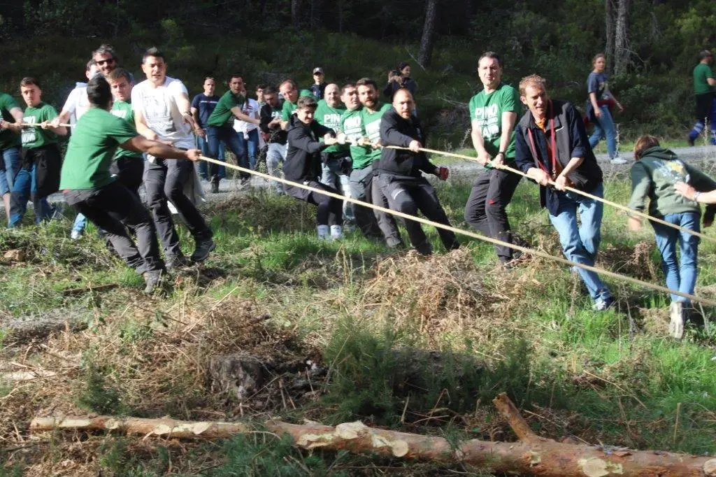 PINGADA NAVALENO (5)