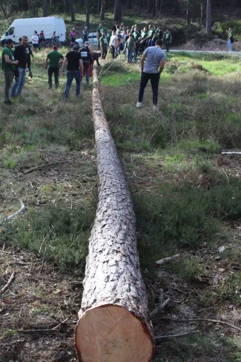 PINGADA NAVALENO (7)