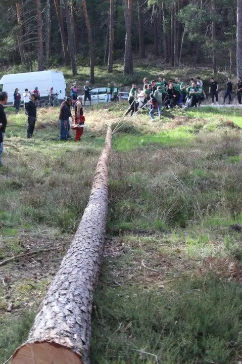 PINGADA NAVALENO (8)