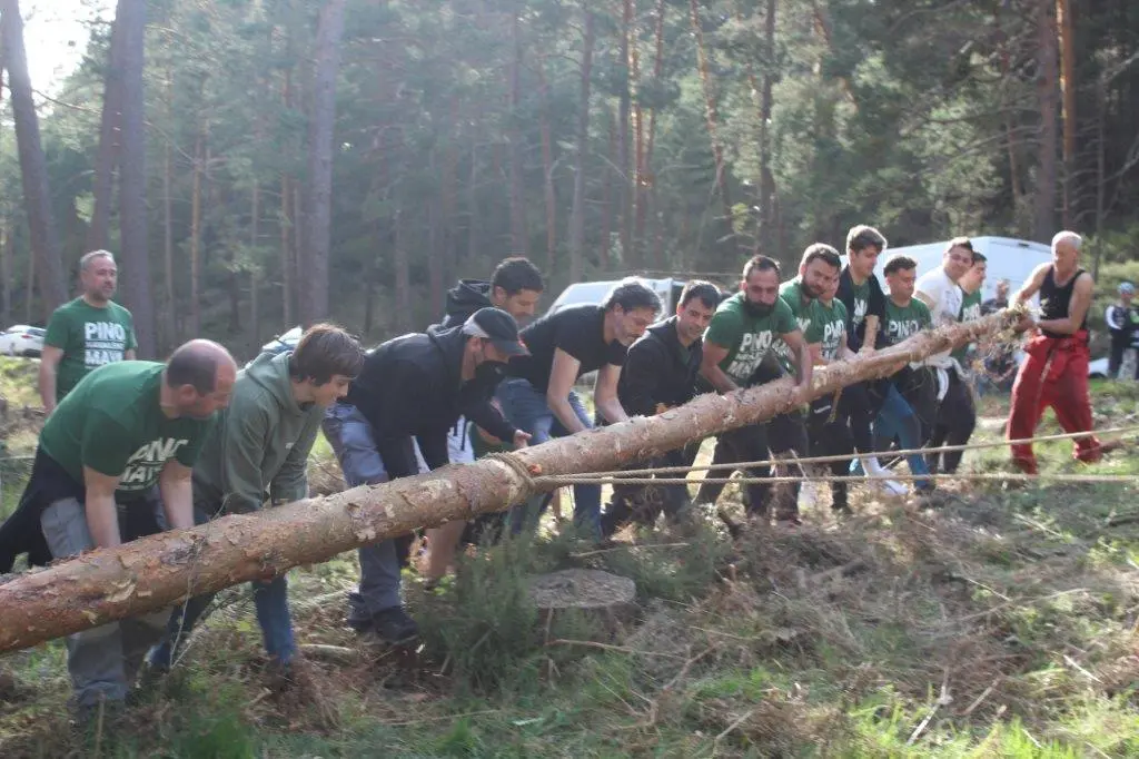 PINGADA NAVALENO (9)