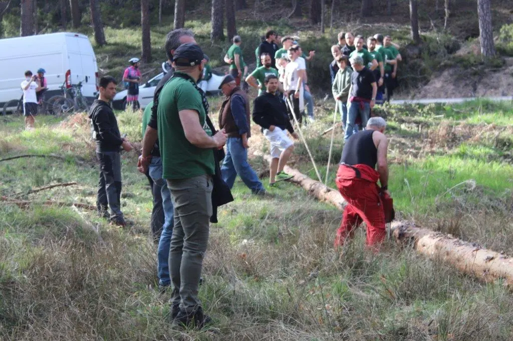 PINGADA NAVALENO (6)