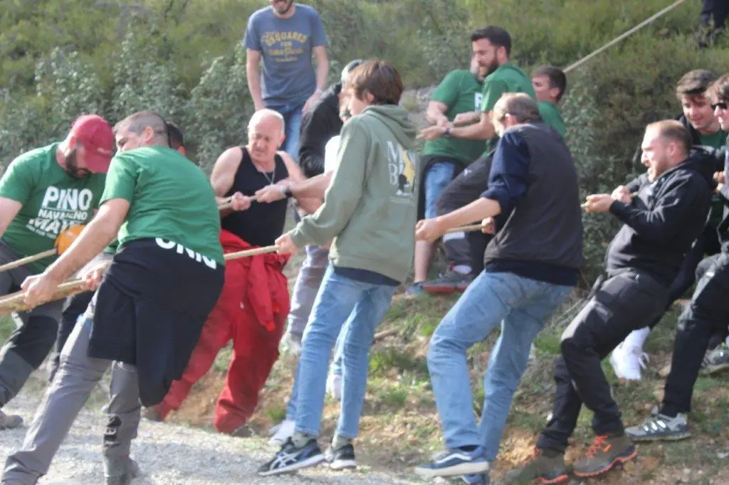 PINGADA NAVALENO (12)