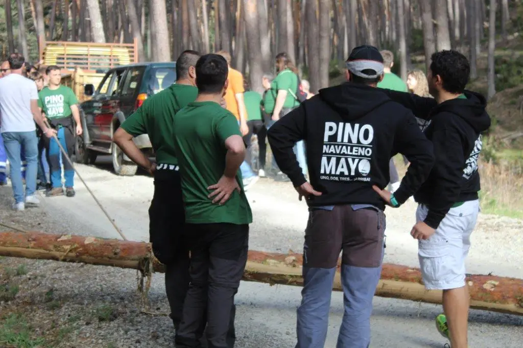 PINGADA NAVALENO (14)